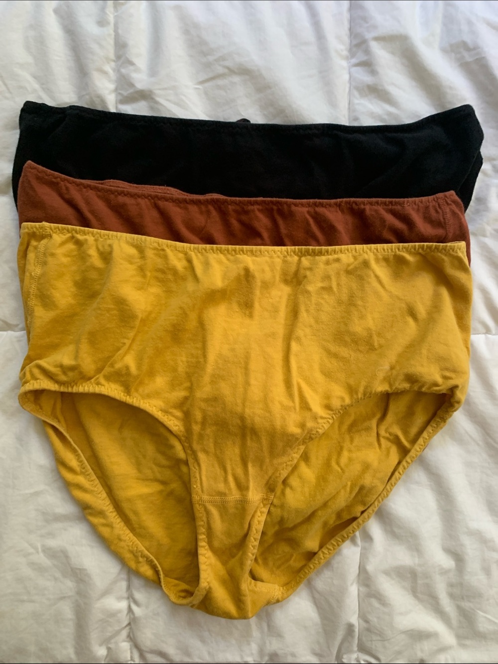 3 Pair of Pansy Co size Medium High Rise Briefs VUC